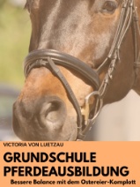 pferdeausbildung