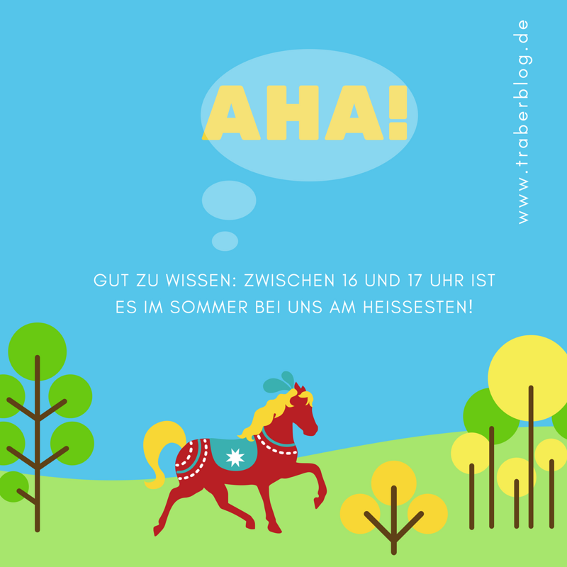 You are currently viewing Hitzefrei für Traber: Tipps für Pferd & Co.
