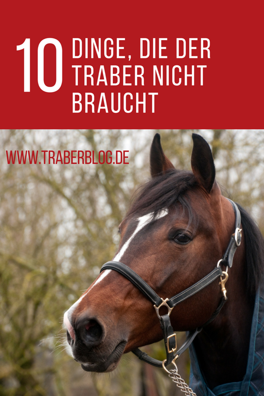 Read more about the article Pferdezubehör – 10 Dinge, die der Traber nicht braucht