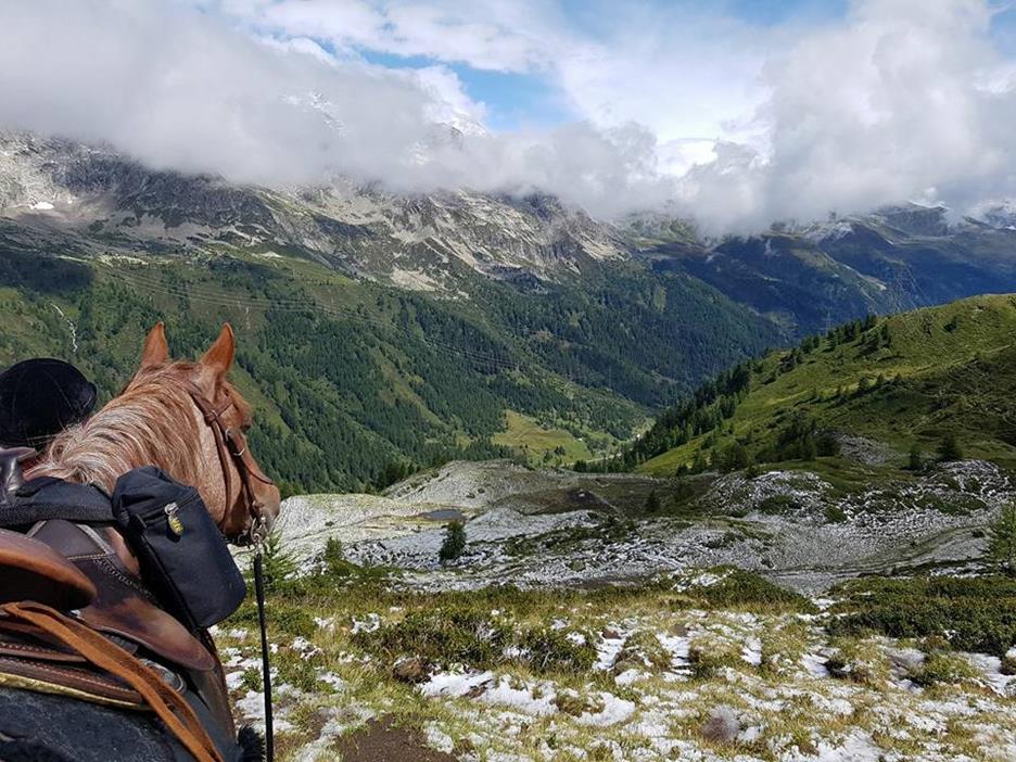 Read more about the article Alpenüberquerung zu Pferd