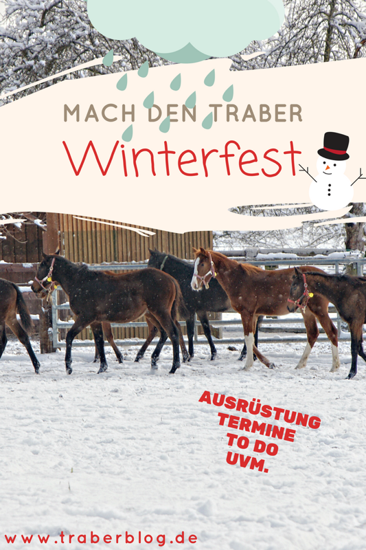 You are currently viewing Winterfit mit dem Traber