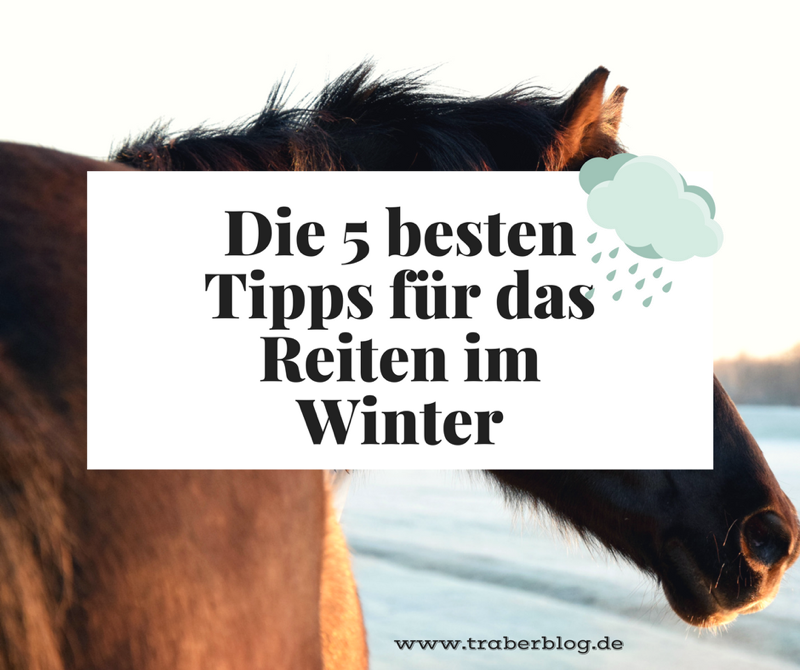 Read more about the article Traber-Frost: 5 Tipps für das Reiten im Winter