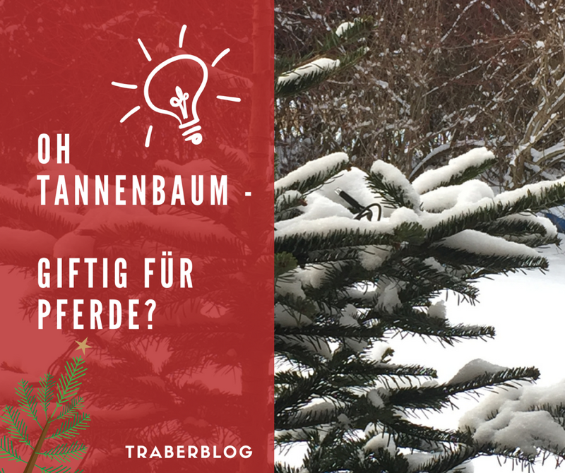 Read more about the article Oh Tannenbaum, Gift am Christbaum?