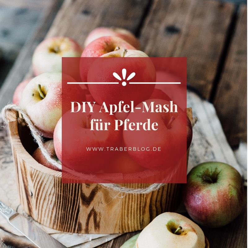 Read more about the article DIY Apfel-Mash für Pferde