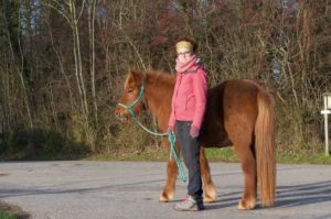 Read more about the article Serie: Entspannter Umgang mit dem Pferd – Tipps von Christina Schuhmann