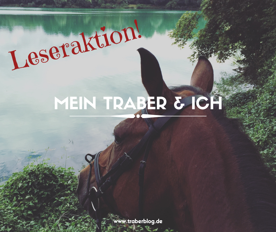You are currently viewing Leseraktion: Mein Traber & Ich mit Katrin