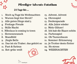 Read more about the article Der pferdige Adventskalender zum Mitmachen