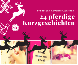 Read more about the article 24 pferdige Kurzgeschichten zum Lachen – Traberblogs Countdown bis Weihnachten