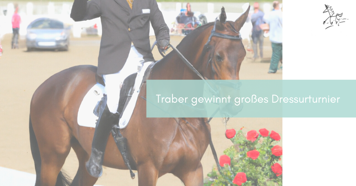 Read more about the article Traber gewinnt großes Dressurturnier