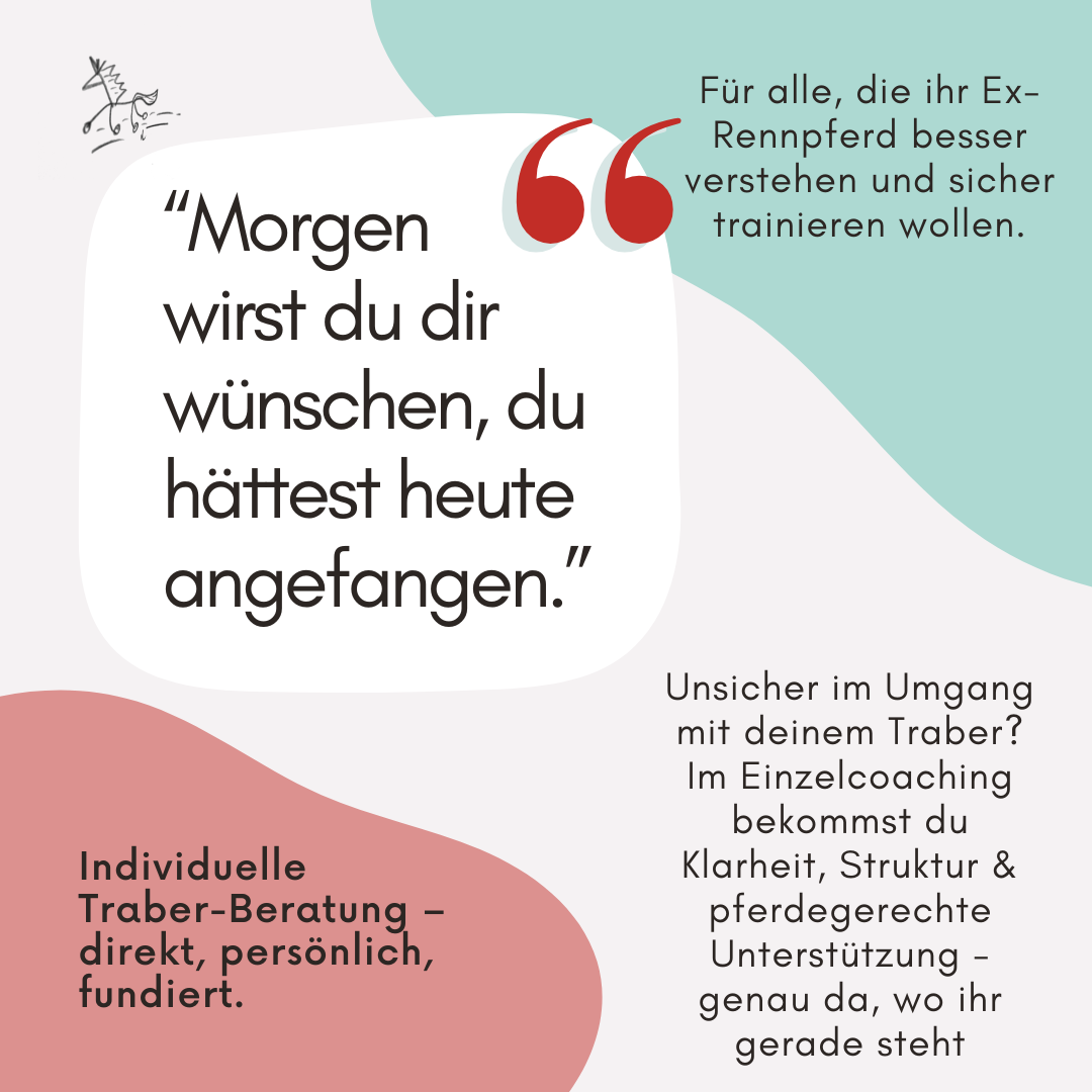 traber-galopp_traber-reiten_hilfe-traber