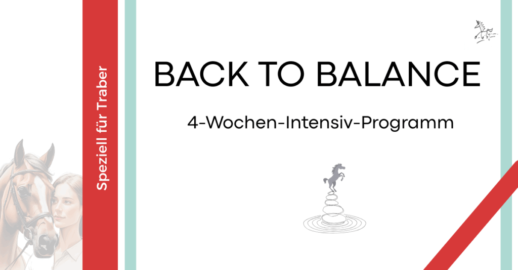 traber-ausbilden-back-to-balance_traber-reiten